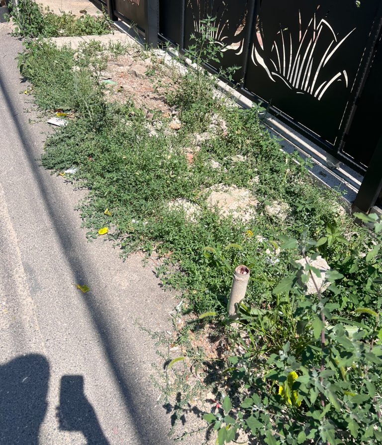 IMG 0240 768x893