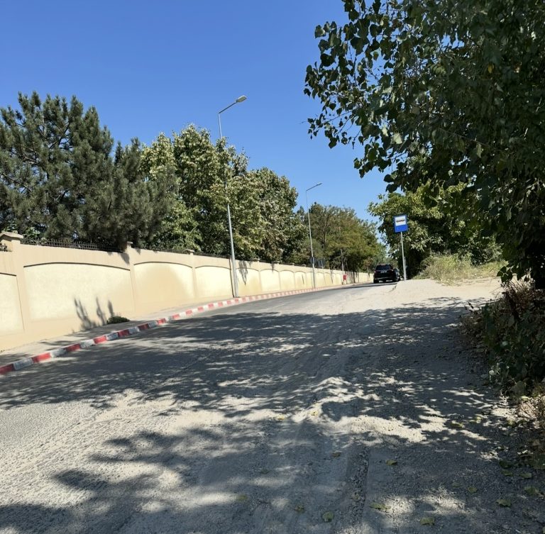 IMG 1365 768x753