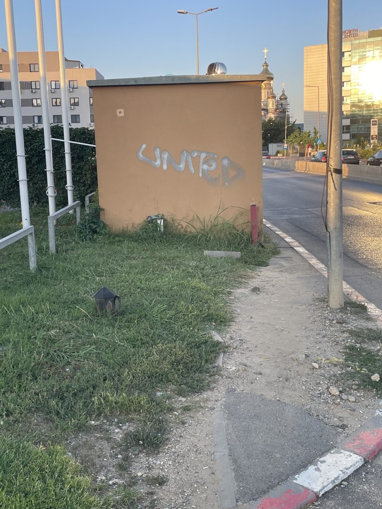 IMG 5712 768x1024