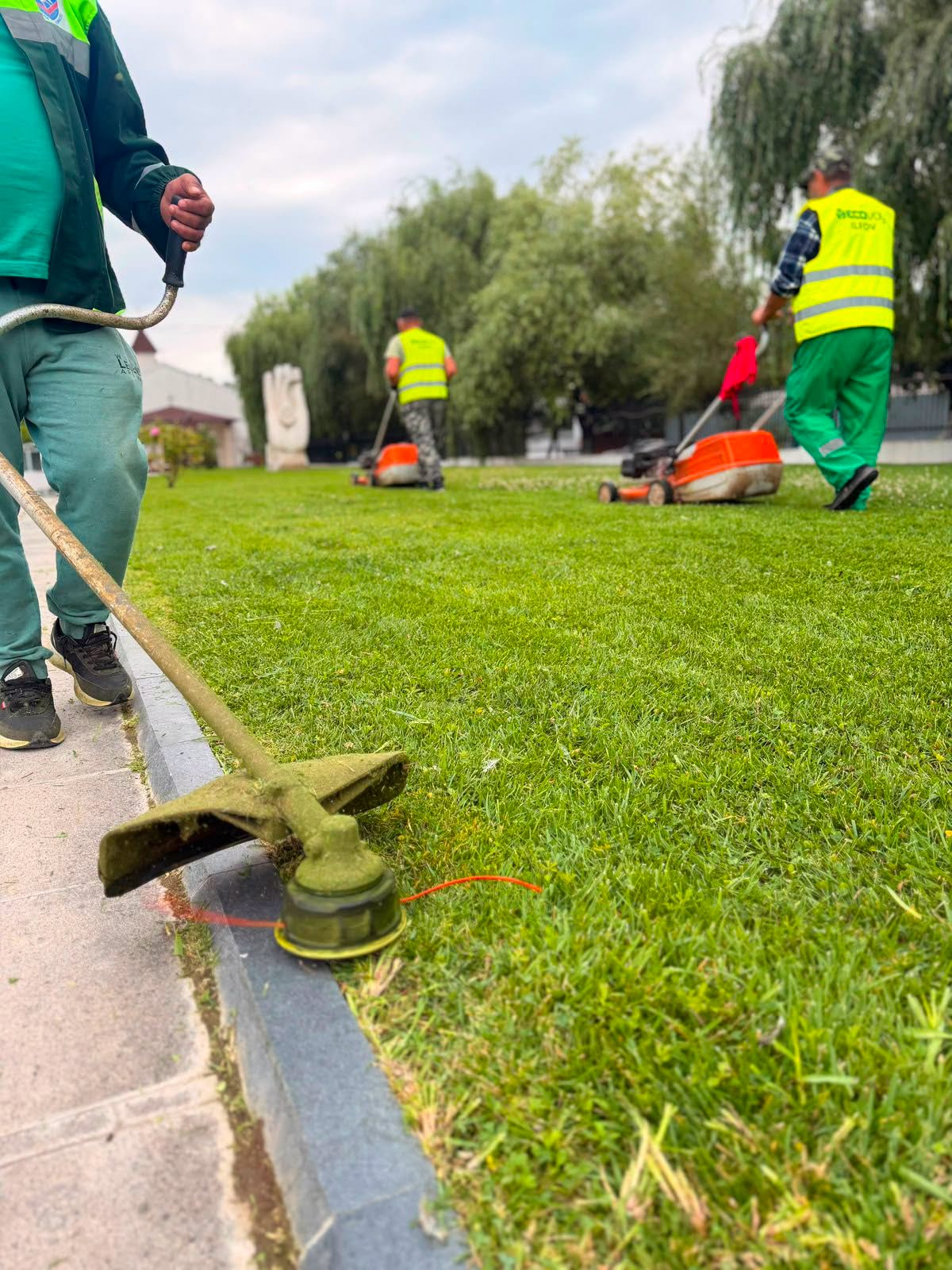 &Icirc;n Parcul Catedrala se desfășoară lucrări de &icirc;ntreținere a spațiilor verzi