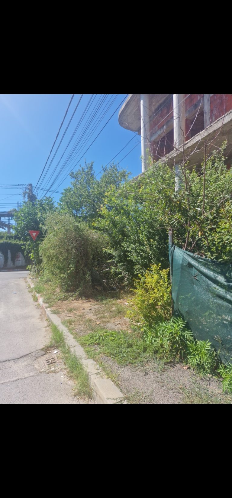 62336 768x1647