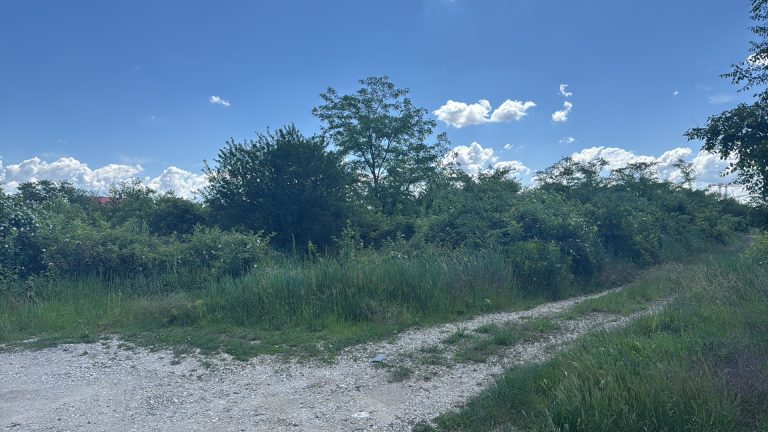 IMG 0034 768x432